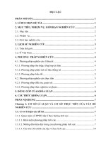 sử dụng phương pháp phát huy tính tích cực trong dạy học địa lí 10 – ban cơ bản