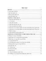 nghiên cứu cơ sở khoa học vận hành tối ưu các công trình điều tiết trên các trục tiêu chính hệ thống các trạm bơm tiêu hà nam - nam định