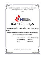 phân tích báo cáo tài chính tại công ty cổ phần công nghệ và dịch vụ anh phát