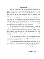 nghiên cứu giải pháp công trình chống xói lở bờ phải sông vu gia nhằm khắc phục sự cố cắt dòng tạo sông quảng huế mới