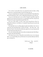 nghiên cứu giải pháp xử lý nền đất yếu đê biển nam đình vũ - hải phòng