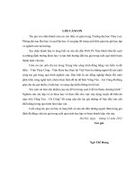 nghiên cứu kết cấu và giải pháp thi công đê biển tuyến vũng tàu - gò công bằng hệ cọc ly tâm và cọc xiên