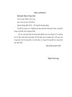 nghiên cứu lựa chọn kết cấu hợp lý bảo vệ mái đê sông có độ dốc lớn ở quảng ninh