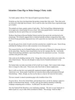 Bài luyện nghe số 6 chuyên ngành CNSH