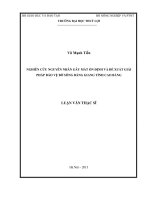 nghiên cứu nguyên nhân gây mất ổn định và đề xuất giải pháp bảo vệ bờ sông bằng giang tỉnh cao bằng
