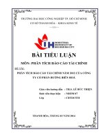 PHÂN TÍCH báo cáo tài CHÍNH tại CÔNG TY cổ PHẦN DƯỜNG BIÊN hòa