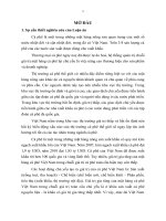 tóm tắt luận án tiến sĩ giải pháp nâng cao giá trị gia tăng cho mặt hàng cà phê việt nam trong chuỗi giá trị cà phê toàn cầu