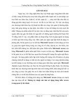 Nhửng kỷ thuật căn bản sử dụng bảng biểu access trong quản lý tài chính