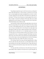 Hoàn thiện kế toán tiêu thụ hàng hoá và xác định kết quả tiêu thụ hàng hoá tại công ty TNHH thương mại và dịch vụ tin học canny