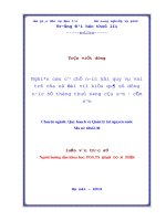 nghiên cứu cơ chế nước hồi quy và vai trò của nó đối với hiệu quả sử dụng hệ thống thủy nông cầu sơn - cấm sơn