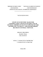 nghiên cứu cơ sở khoa học để bảo tồn và sử dụng bền vững một vài loài song mây quan trọng thuộc chi calamus l. và chi daemonorops blume tại khu vực trung bộ bản tóm tắt tiếng anh
