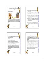 các định chế tài chính trung gian