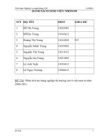 Phân tích tác dụng nghiệp thị trường mở ở việt nam từ năm 2000 2011