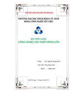 báo cáo máy cán thép hình cỡ lớn