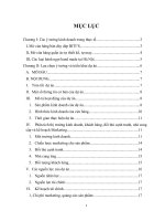 Thảo luận dự án ( mở cửa hàng dép bitis)