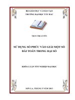 sử dụng số phức vào giải một số bài toán trong đại số