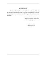 nghiên cứu đề xuất một số giải pháp tăng cường công tác quản lý thanh, quyết toán vốn đầu tư xây dựng thuộc nguồn vốn ngân sách, áp dụng cho công ty cổ phần xây dựng c.e.o