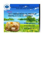 Đề tài   quá trình đông tụ protein trong sản xuất phomat
