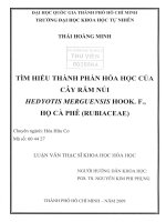 Nghiên cứu thành phần hóa học của cây răm núi hedyotis merguensis hook  f ,họ cà phê (rubiaceae)