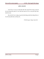 Đồ Án Chuyên Nghành QoS  MPLS