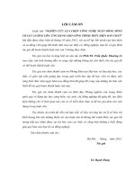 nghiên cứu lựa chọn công nghệ ngăn dòng sông có lưu lượng lớn, ứng dụng cho công trình thủy điện bản chát