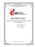 GIẢI PHÁP PHÁT TRIỂN THỊ TRƯỜNG cổ PHIẾU VIỆT NAM HIỆN NAY