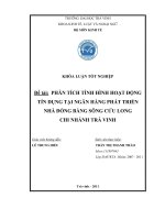 Phân tích tình hình hoạt động tín dụng tại ngân hàng PTN ĐBSCL chi nhánh trà vinh