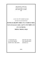 Đánh giá độ hữu hiệu của vi khuẩn hòa tan lân, kali CA09, CA29, TU9 trên cây củ cải trắng trồng trong chậu