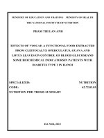 tóm tắt luận án hiệu quả kiểm soát glucose máu, cải thiện một số chỉ tiêu hóa sinh của thực phẩm chức năng chiết xuất từ lá vối - ổi - sen (voscap) trên bệnh nhân đtđ type 2 tại hà nội