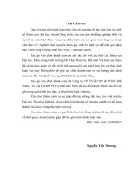 nghiên cứu nguyên nhân gây mất ổn định và đề xuất giải pháp bảo vệ bờ sông đuống tỉnh bắc ninh