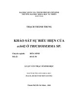 Khảo sát sự biểu hiên của ech42 ở trichoderma sp