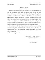 phương pháp hạch toán môi trường trong định giá điện của dự án thủy điện sông tranh 2