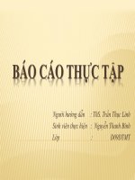 báo cáo thực tập tại công ty TNHH một thành viên đàu tư và phát triển công nghệ hồng hà