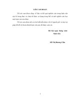 Nâng cao thu nhập cho lao động  nông thôn tại xã Cẩm Huy, huyện Cẩm Xuyên, tỉnh Hà Tĩnh