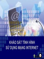 khảo sát tình hình sử dụng internet
