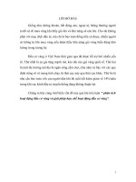 phân tích hoạt động đầu cơ vàng và giải pháp hạn chế hoạt động đầu cơ vàng