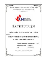 báo cáo tài chính tại công ty cổ phần đầu tư xây dựng SARA