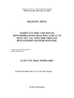 Nghiên cứu điều chế một số montamorillonite hoạt hóa acid và áp dụng xúc tác tổng hợp trọn gói benzaldehid thành benzonitril
