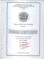 Kế toán bán hàng và xác định kết quả kinh doanh tại công ty TNHH TM   DV ec