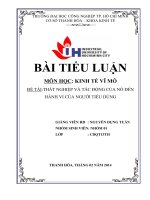 THẤT NGHIỆP và tác ĐỘNG của nó đến HÀNH VI của NGƯỜI TIÊU DÙNG