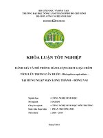 ĐÁNH GIÁ VÀ MÔ PHỎNG HÀM LƯỢNG KIM LOẠI CRÔM  TÍCH LŨY TRONG CÂY ĐƯỚC Rhizophora apiculata –  TẠI RỪNG NGẬP MẶN LONG THÀNH – ĐỒNG NAI