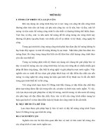 nghiên cứu giải pháp bảo vệ hố móng phục vụ thi công công trình trạm bơm cổ dũng - bắc giang