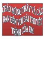 XÂY DỰNG KÊNH PHÂN PHỐI TIÊU THỤ THẺ VIETTEL TRONG ký túc xá NHÀ g   TRƯỜNG đại học CÔNG NGHIỆP THÀNH PHỐ hồ CHÍ MINH – cơ sở THANH HOÁ