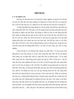 XÂY DỰNG hệ THỐNG tư LIỆU dạy học hóa học CHƯƠNG TRÌNH lớp 10 TRUNG học PHỔ THÔNG