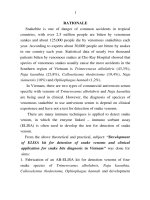 nghiên cứu chế tạo bộ xét nghiệm elisa phát hiện nọc rắn độc và ứng dụng lâm sàng chuẩn đoán rắn độc cắn ở việt nam bản tóm tắt tiếng anh