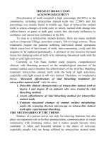 nghiên cứu hiệu quả điều trị tẩy trắng răng sống nhiễm sắc tetracycline bản tóm tắt tiếng anh