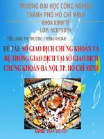 Sở giao dịch chứng khoán và hệ thống giao dịch tại sở giao dịch chứng khoán hà nội, thành phố hồ chí minh