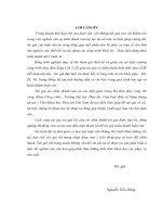 nghiên cứu sự hình thành vòm áp lực do nổ mìn và biện pháp chỗng đỡ, áp dụng cho hầm dẫn nước thủy điện sông côn 2 tỉnh quảng nam