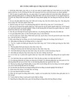 Báo cáo đề cương môn quản trị nhân lực