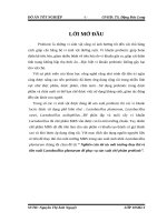 Nghiên cứu tối ưu môi trường thay thế rẻ tiền nuôi Lactobacillus plantarum để phục vụ sản xuất chế phẩm probiotic